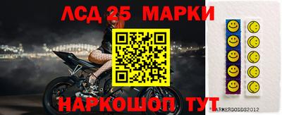 apvp Кандалакша