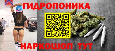 jwh Камышлов