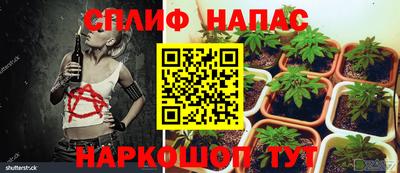 apvp Кандалакша