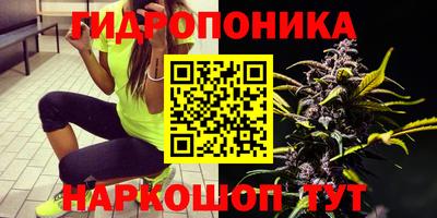 apvp Кандалакша